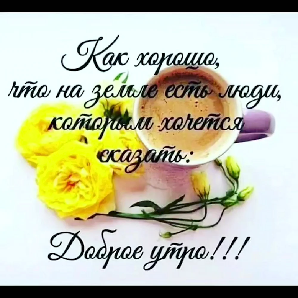 Доброе утро: пожелания доброго утра в прозе, своими словами, в картинках — Украина