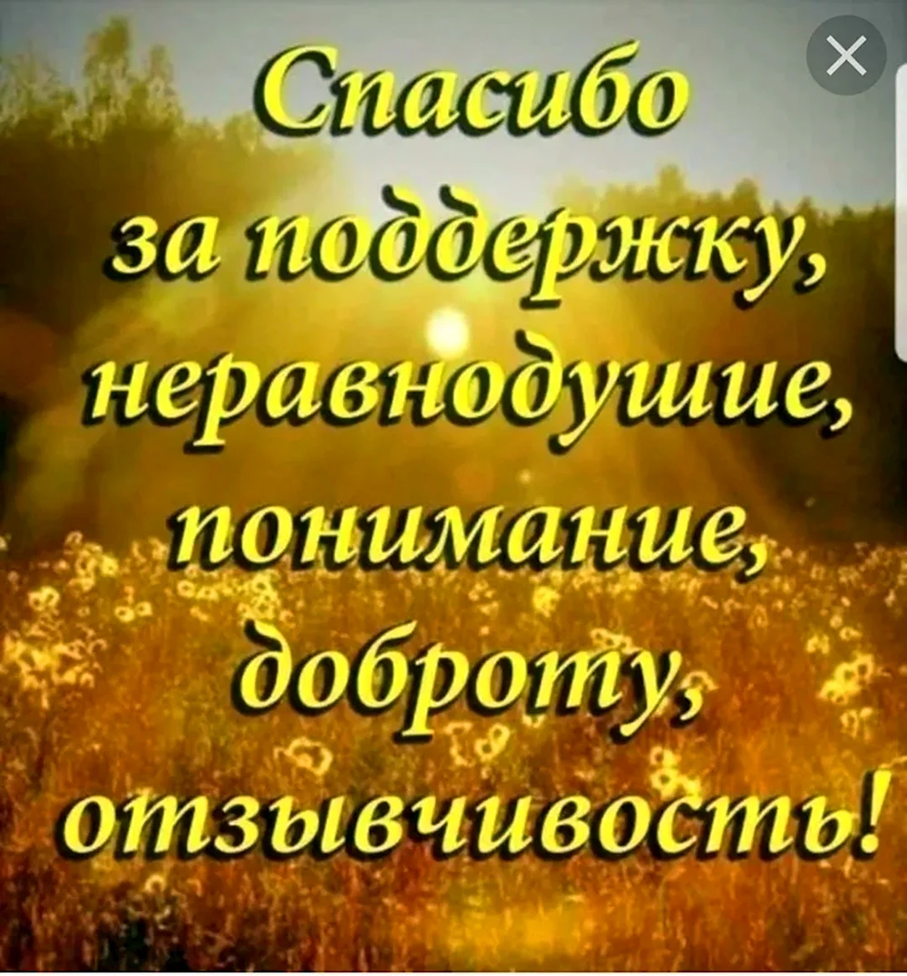 Слова благодарности за поддержку в прозе своими словами — 34 шт | Красивые  открытки и картинки